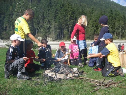 pinzgau18.jpg