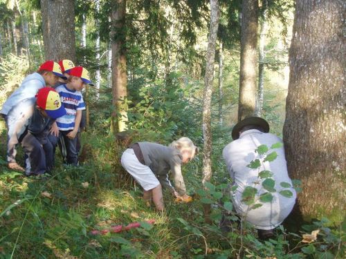 wald5.jpg